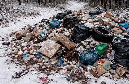 Фотоловушки и миллионные штрафы: в Амурской области борются с несанкционированными свалками