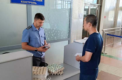 Россельхознадзор пресек ввоз 87 партий мясной и рыбной продукции из Китая в Приамурье 