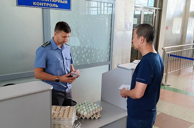 Россельхознадзор пресек ввоз 87 партий мясной и рыбной продукции из Китая в Приамурье 