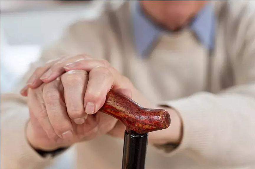 Фото: ru.freepik.com