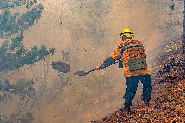 Авиапожарные из Амурской области помогут тушить возгорания в труднодоступных местностях Еврейской автономии