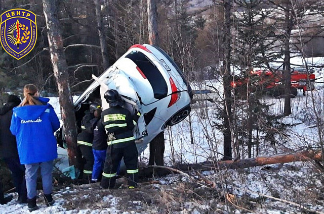 В Тындинском округе иномарка врезалась в дерево: водитель скончался на месте