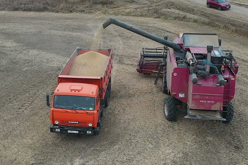 Рекордный урожай сои ожидается в Приамурье
