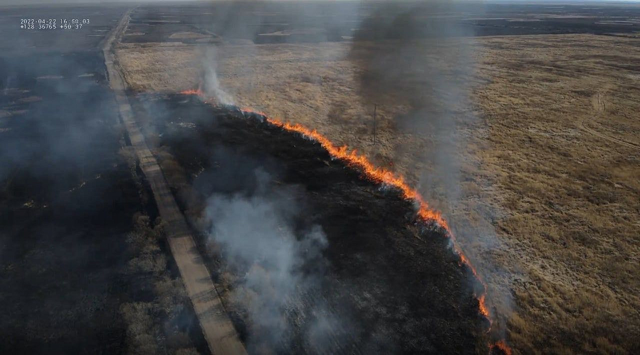 Фото: правительство Амурской области 