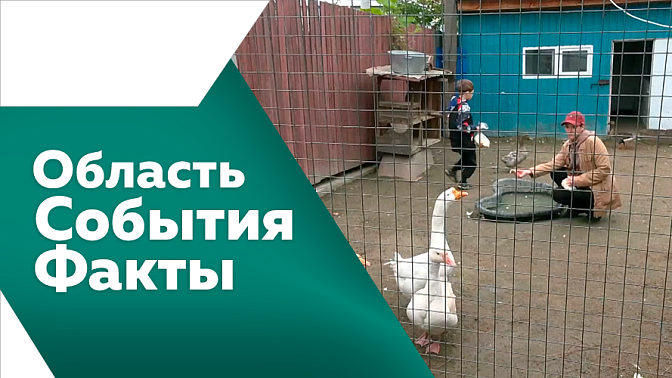 Область. События. Факты. В Тамбовском округе состоялся Амурагрофорум. В регионе стартовала прививочная кампания против сезонных заболеваний. В Приамурье обновляют объекты культурного наследия. 