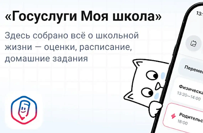 Более 13 тысяч амурских родителей оценили приложение «Госуслуги Моя школа»
