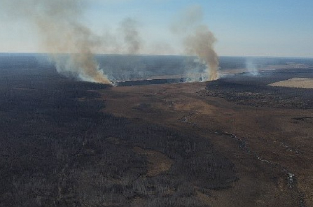 В воскресенье в Приамурье зафиксировано 3 природных пожара