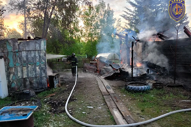 Пожарные вытащили собаку и микроавтобус из горящего дачного дома в Февральске
