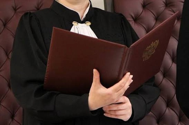 Условный срок и 6,3 млн рублей штрафа: суд вынес приговор за незаконную вырубку в лесничестве