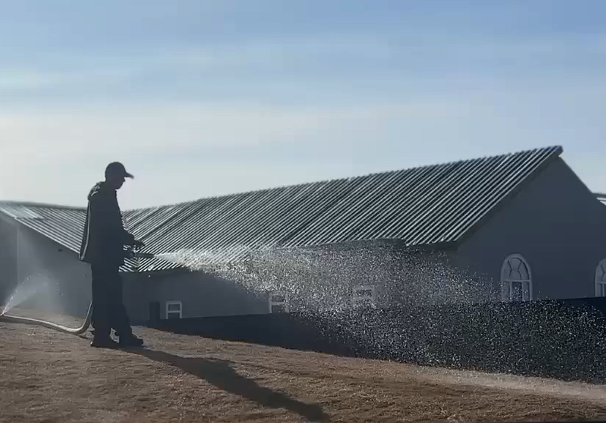 Фото: max.ru/blagoveshchensk_rf