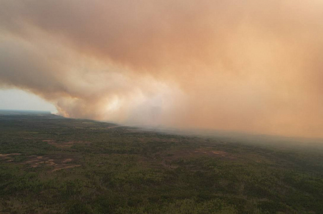 Из-за сложной лесопожарной обстановки в Магдагачинском районе ввели режим ЧС