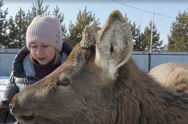 Не Тында и не тайга: какая неожиданная находка ждёт амурчан в 25 километрах от Благовещенска