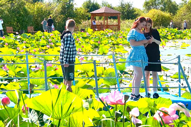 В селе Липовка, на озере лотосов, организовали новый фестиваль народного творчества