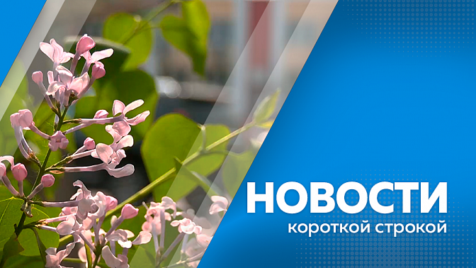 Новости короткой строкой. Новый температурный рекорд зафиксировали в Благовещенске. Редкие кадры из мира дикой природы удалось запечатлеть в Сковородинском округе. Амвросиевская центральная библиотека открыла свои двери после масштабного капремонта.