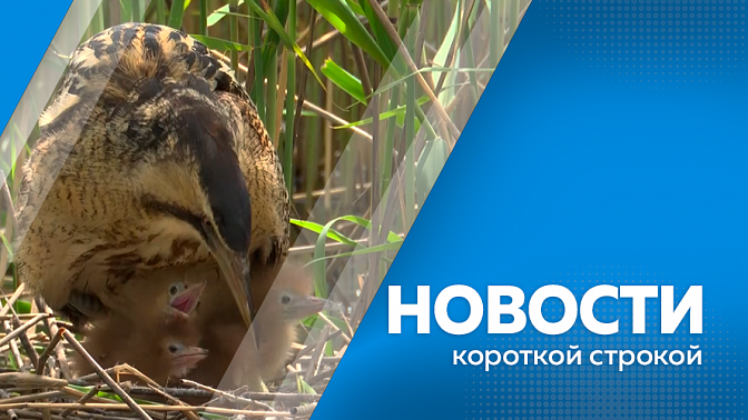 Новости короткой строкой. Амурское МЧС помогают забайкальским коллегам защищать от огня населённые пункты. В этом году отремонтируют 90 километров областных дорог. Заседание Парламентской Ассоциации «Дальний Восток и Забайкалье».