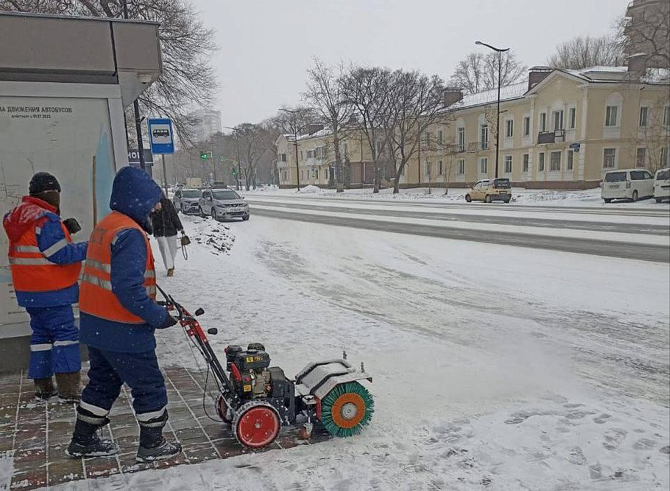 Фото: администрация Благовещенска