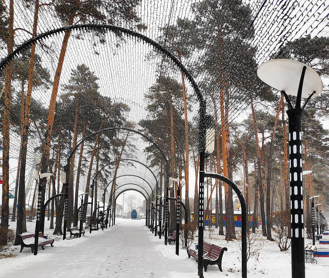 Фото: правительство Амурской области