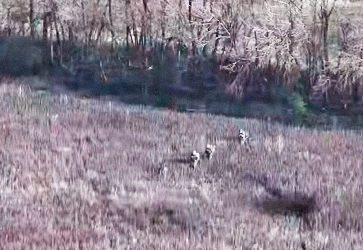 Фото: t.me/OrlovAmur