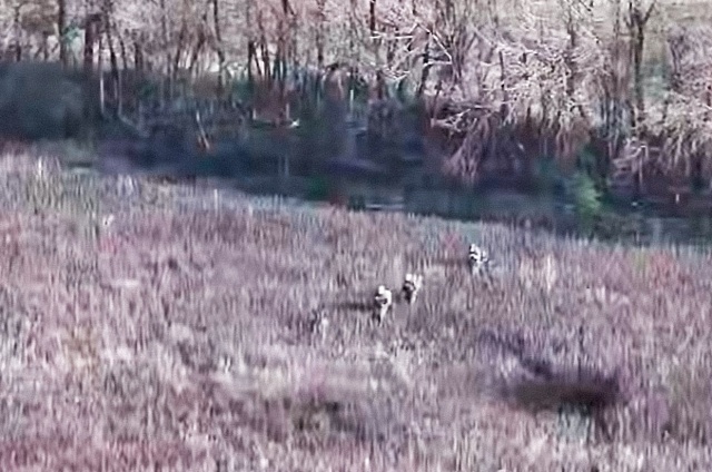 «Хитрым манёвром и штурмом»: амурские бойцы «Востока» освободили Червоное в Запорожской области