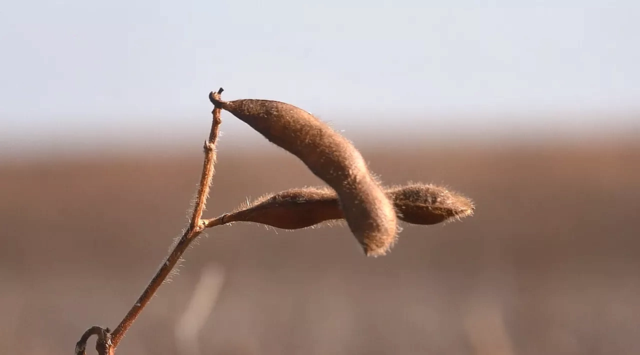 Фото: архив АОТВ
