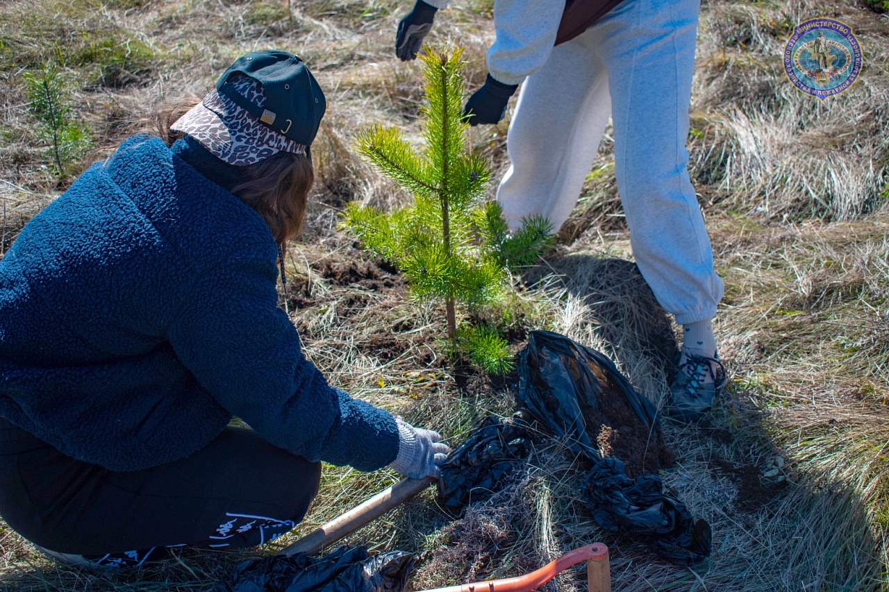 Фото: minlhpb.amurobl.ru