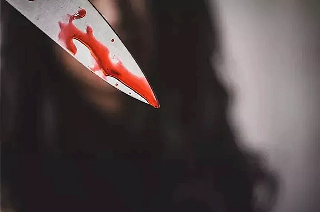 Амурчанин получил 6 лет колонии строгого режима за покушение на убийство друга из-за собаки
