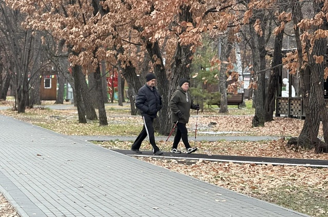 Первомайский парк в Благовещенске впервые будет работать круглый год