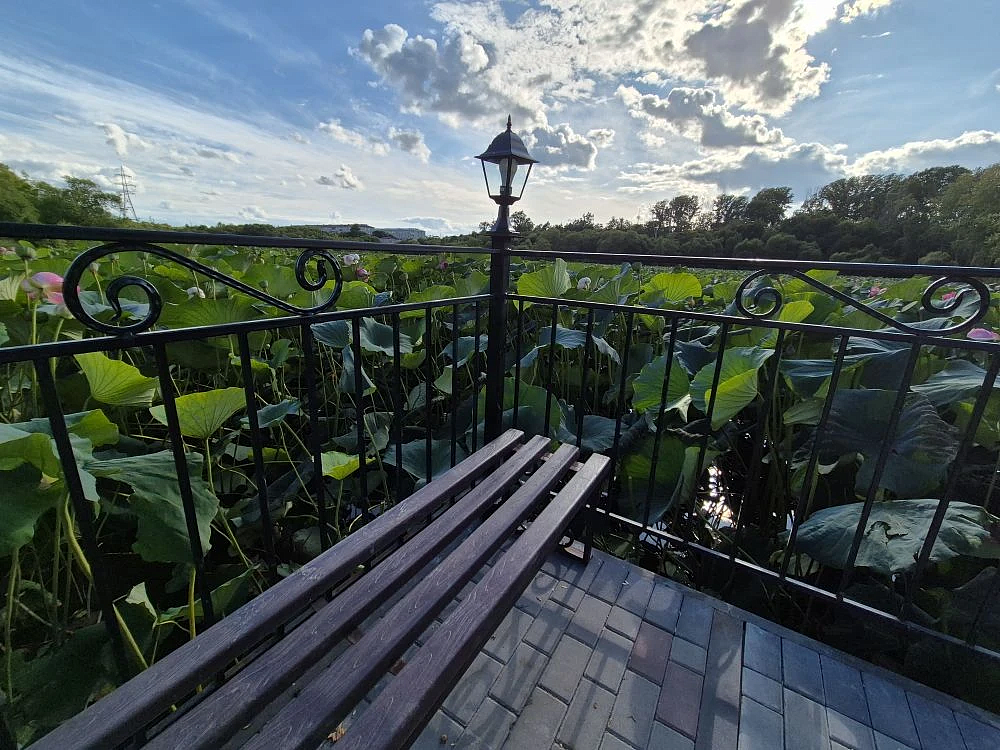 Фото: max.ru/id2801168320_gos