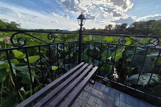 В Прогрессе приступили ко второму этапу благоустройства сквера с краснокнижными лотосами