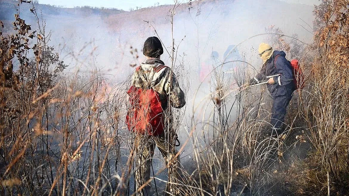 Фото: max.ru/OrlovAmur