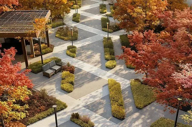 Благовещенцы выбирают сквер для благоустройства в 2027 году через онлайн-голосование