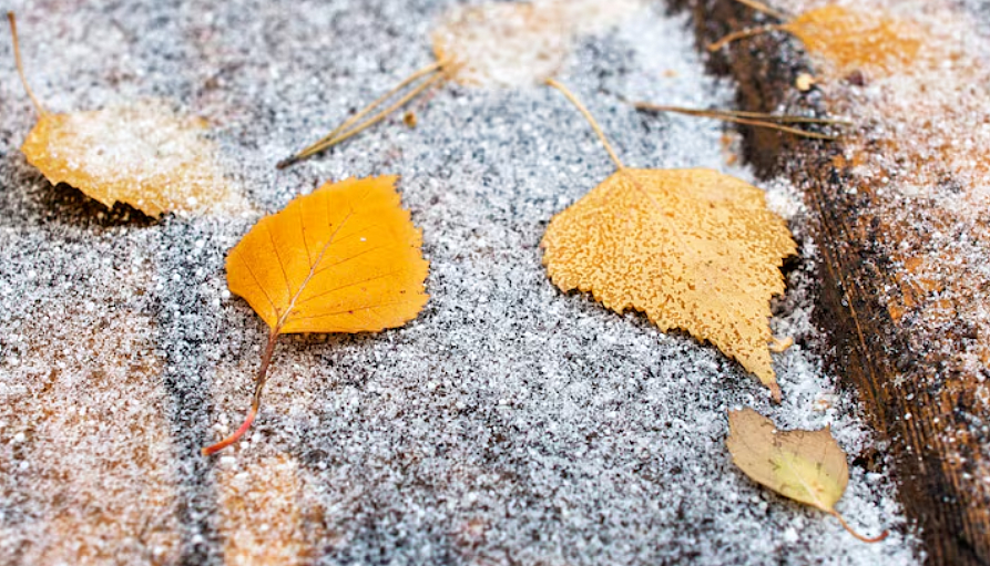 Фото: ru.freepik.com