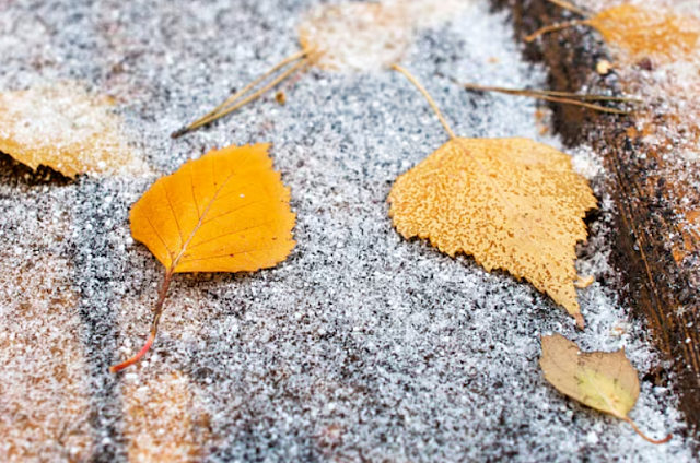 В среду в Приамурье ожидается облачная погода и мокрый снег