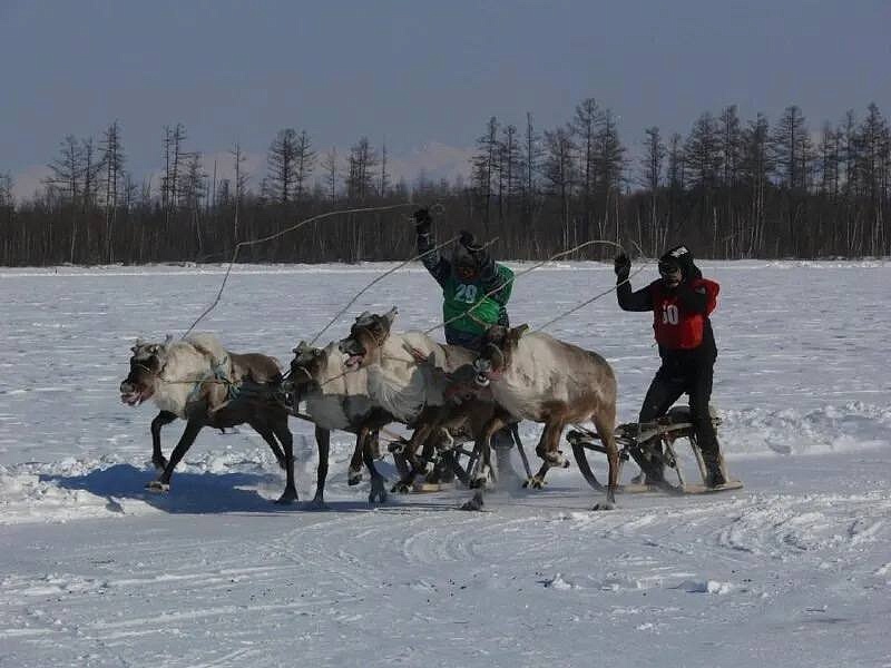 Фото: t.me/minkultamur