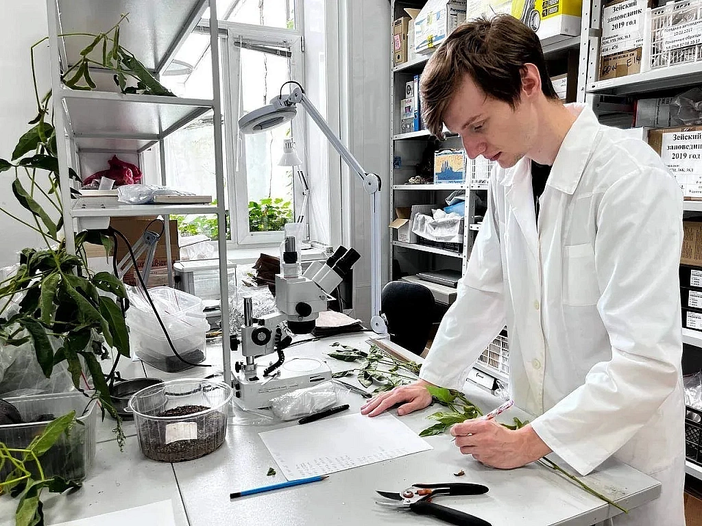 Фото: obr.amurobl.ru