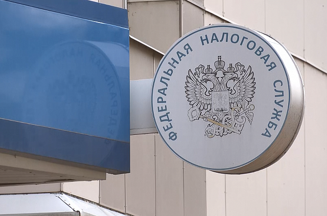 Более двух миллионов рублей за полгода заработали 550 самозанятых амурских школьников
