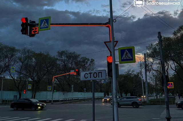 В Благовещенске ввели режим повышенной готовности из-за сильного ветра