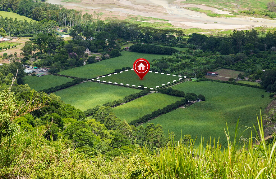 Фото: ru.freepik.com