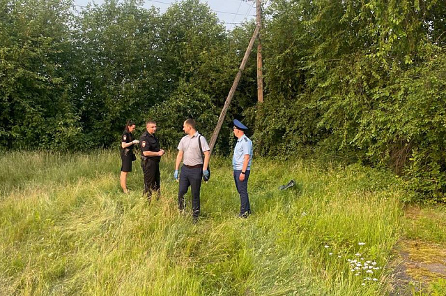 В Михайловском районе от удара током погиб электрик