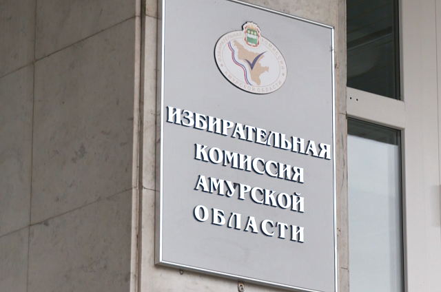 В Приамурье завершился период выдвижения на выборах в органы местного самоуправления