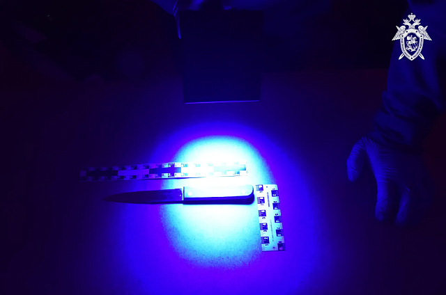 Застолье с ножом: 68-летний житель Благовещенска ответит в суде за смертельное ранение гостя