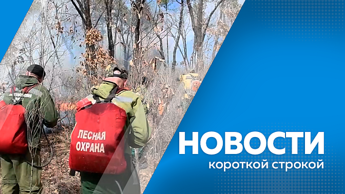 Новости короткой строкой. Масштабные учения волонтеров-поисковиков. Свыше 600 пенсионеров-северян обеспечили бесплатным проездом на отдых с начала года. Пожарно-спасательные подразделения и добровольцы ликвидировали около 130 палов сухой растительности.
