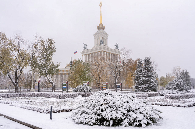 Приамурье начнёт сотрудничать с московской ВДНХ