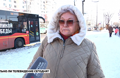 Мы выяснили, насколько часто амурчане смотрят телевизор