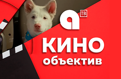На большом экране в воскресенье