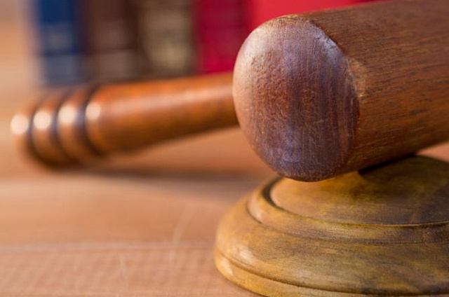 Собака напала на ребёнка: администрацию Сковородинского округа обязали выплатить компенсацию 