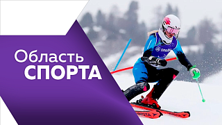 Область спорта. Турнир по пилонному спорту, кубок губернатора Амурской области по бильярду, бронза российских параолимпийцев.