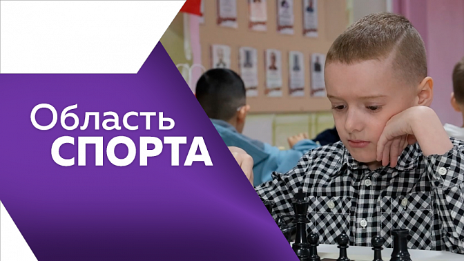 Область спорта. Волейбол для ветеранов СВО, Международные встречи по шахматам, старт соревнований по мотокроссу. 