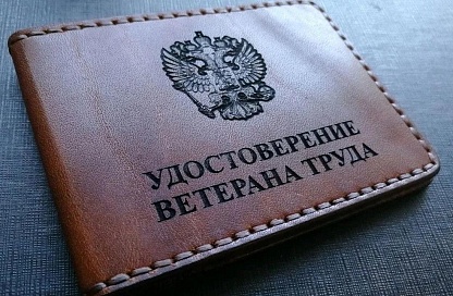 В Приамурье упростили получение звания «Ветеран труда»