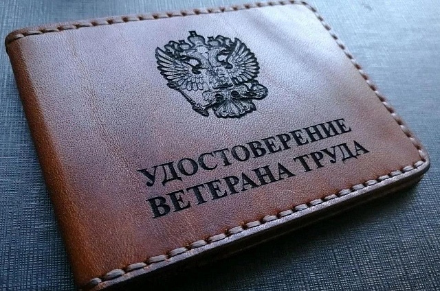 В Приамурье упростили получение звания «Ветеран труда»